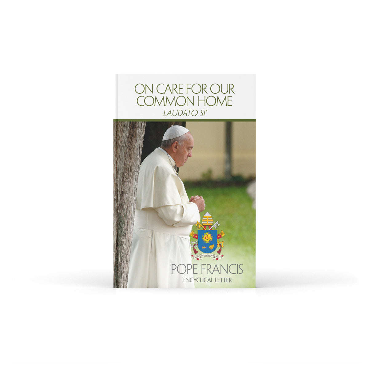Sobre el cuidado de la casa común (Laudato si')