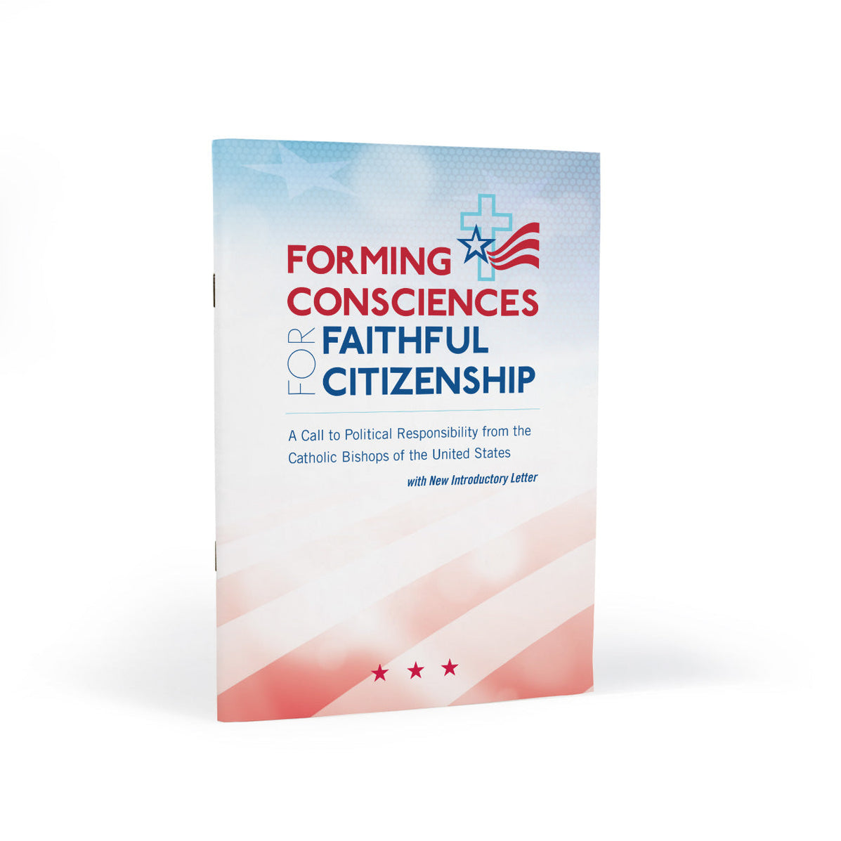 Forming Consciences For Faithful Citizenship: A Call To Political Resp ...