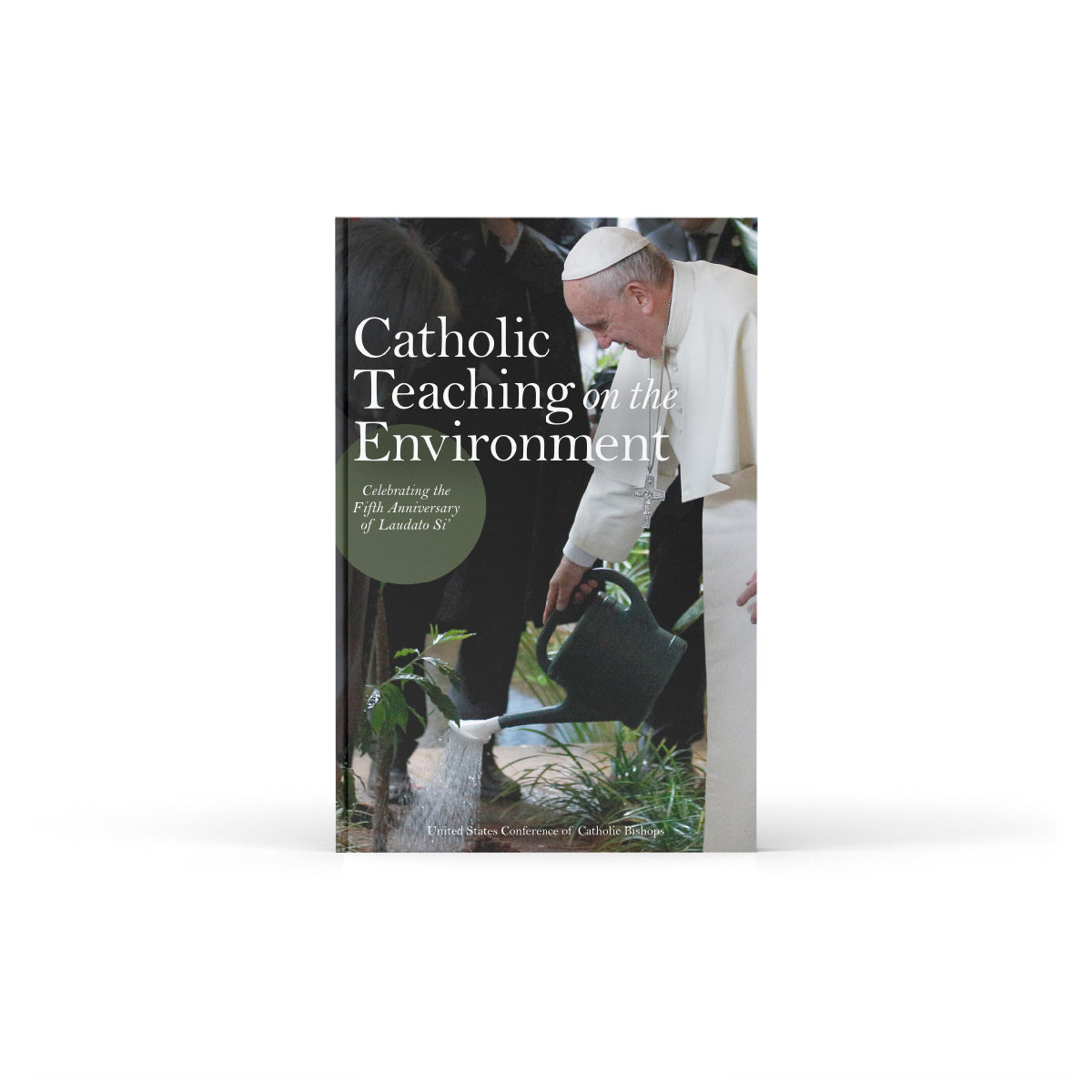 Enseñanza católica sobre el medio ambiente: Celebración del quinto aniversario de Laudato Si'