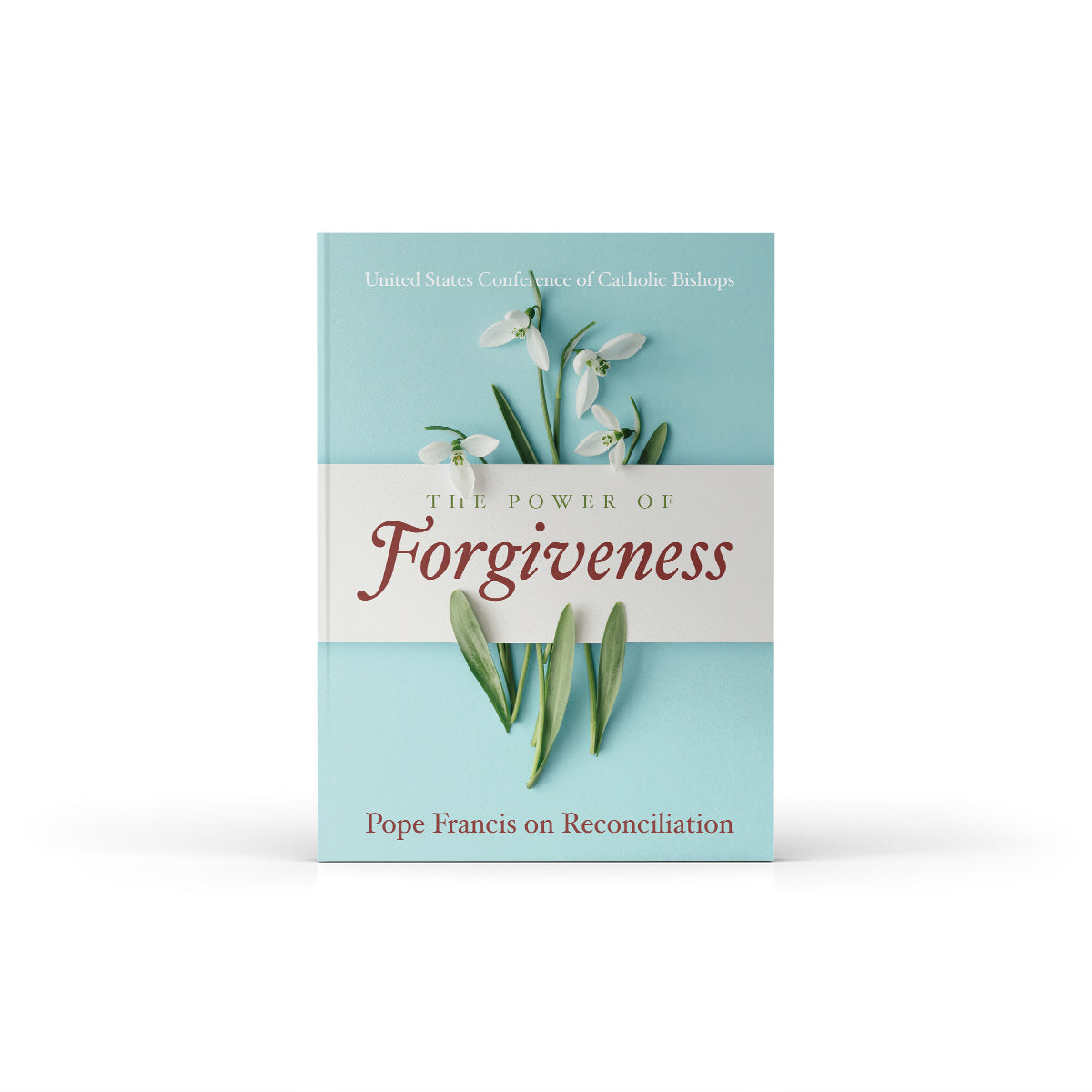 The Power of Forgiveness: Pope Francis on Reconciliation