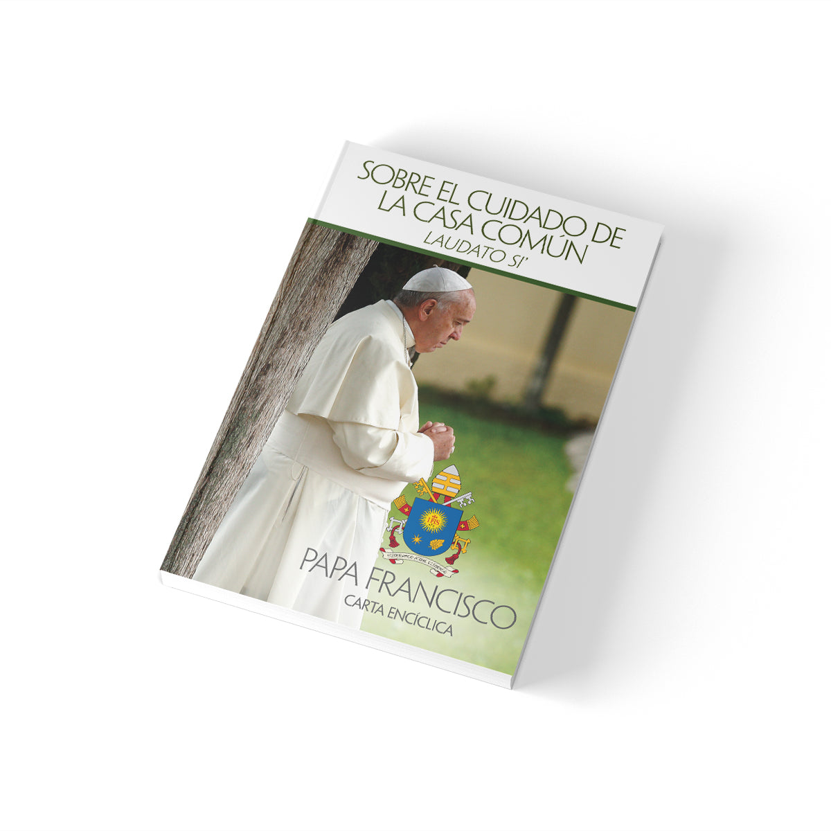 On Care for Our Common Home (Laudato Si) (Spanish)