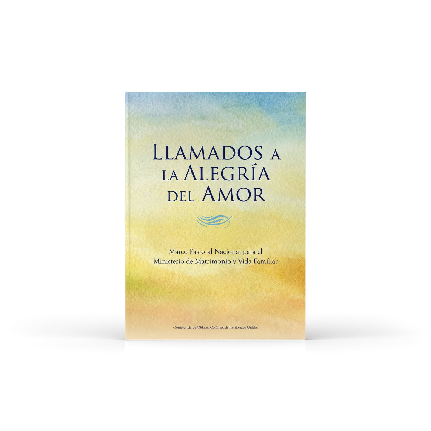 Called to the Joy of Love: National Pastoral Framework for Marriage and Family Life Ministry (Spanish)