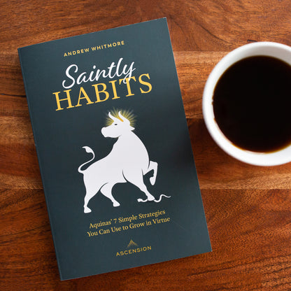 Saintly Habits: Aquinas' 7 Simple Strategies You Can Use to Grow in Virtue