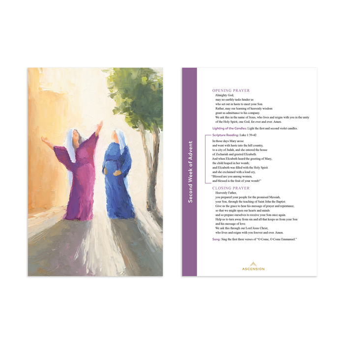 Rejoice! Advent Meditations with Mary Journal and Advent Prayer Cards Bundle