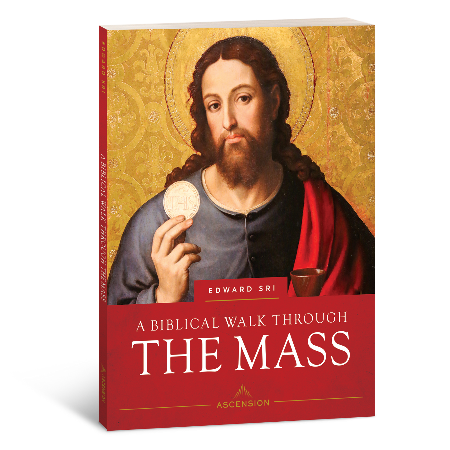 A Biblical Walk Through the Mass, Workbook