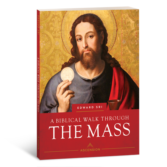 A Biblical Walk Through the Mass, Workbook