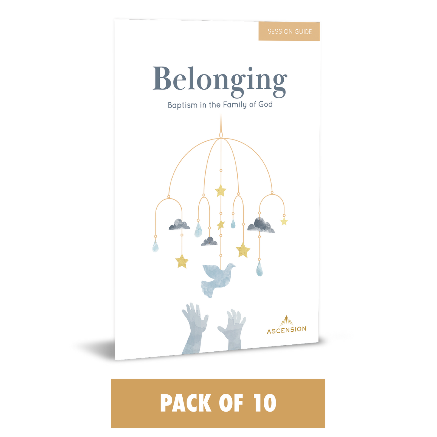 Belonging: Baptism in the Family of God, Session Guide (Pack of 10)