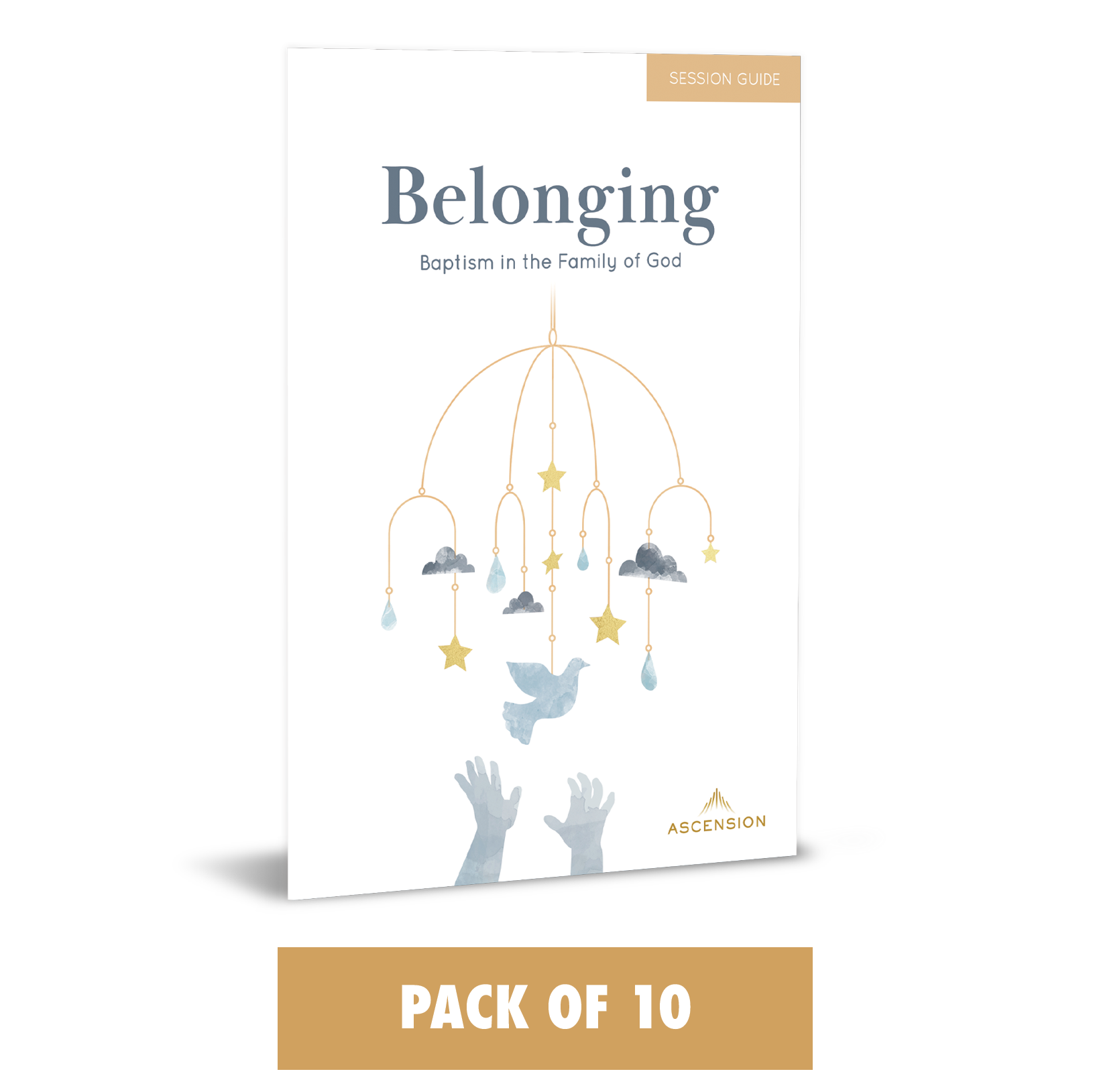 Belonging: Baptism in the Family of God, Session Guide (Pack of 10)