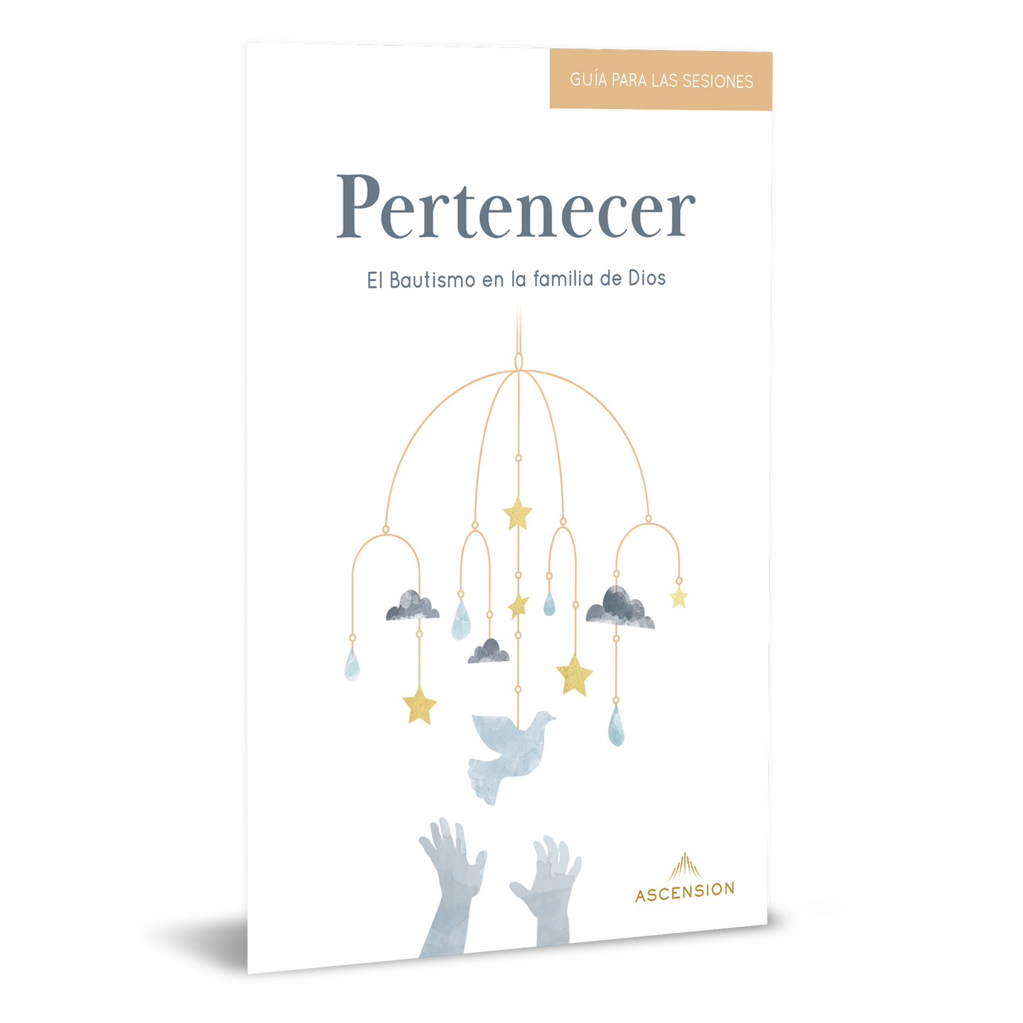 Pertenecer: el Bautismo en la familia de Dios, Guía de las sesiones