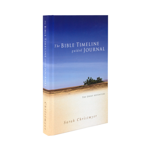 The blue and tan cover photo of the The Bible Timeline Guided Journal by Sarah Christmyer and published by Ascension. The cover features a beach with a blue sky and some vegetation.