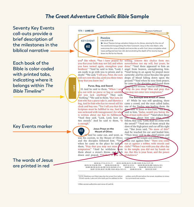 Holy Bible  The Great Adventure Catholic Bible – Ascension