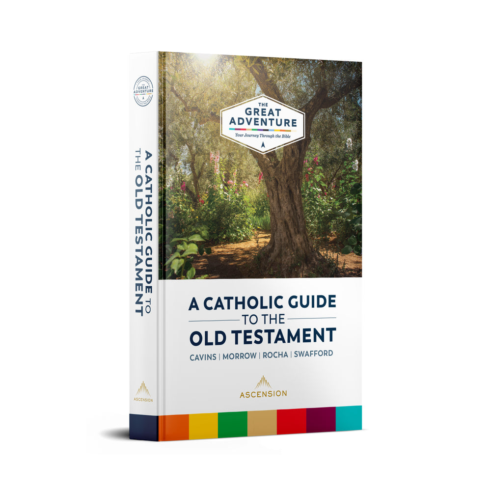 A Catholic Guide To The Old Testament Ascension A Catholic Guide To The Old Testament Ascension