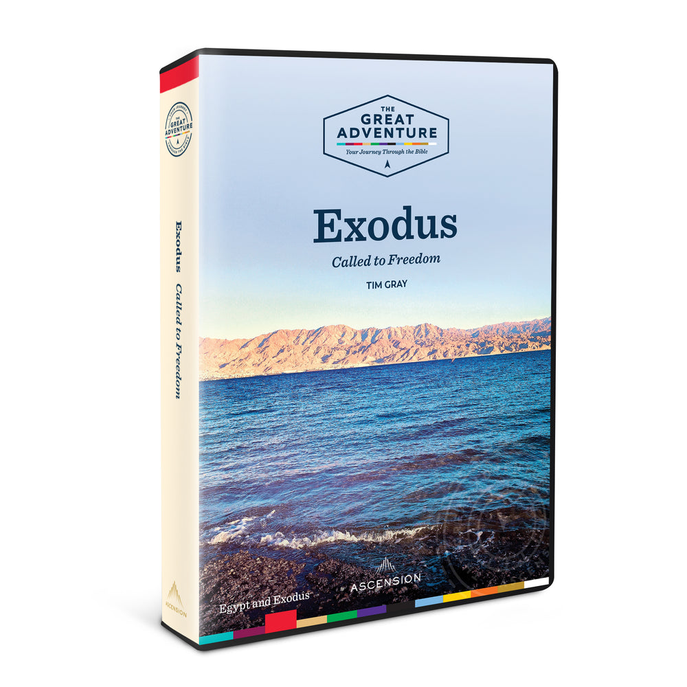 Exodus: Called to Freedom, DVD Set
