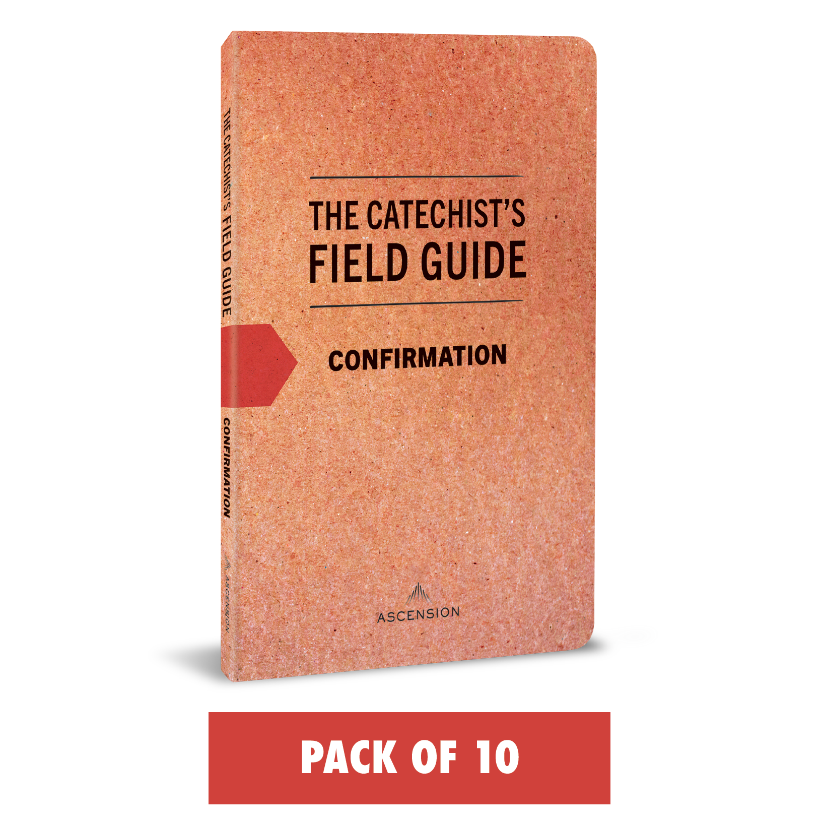 The Catechist's Field Guide to Confirmation (Pack of 10)