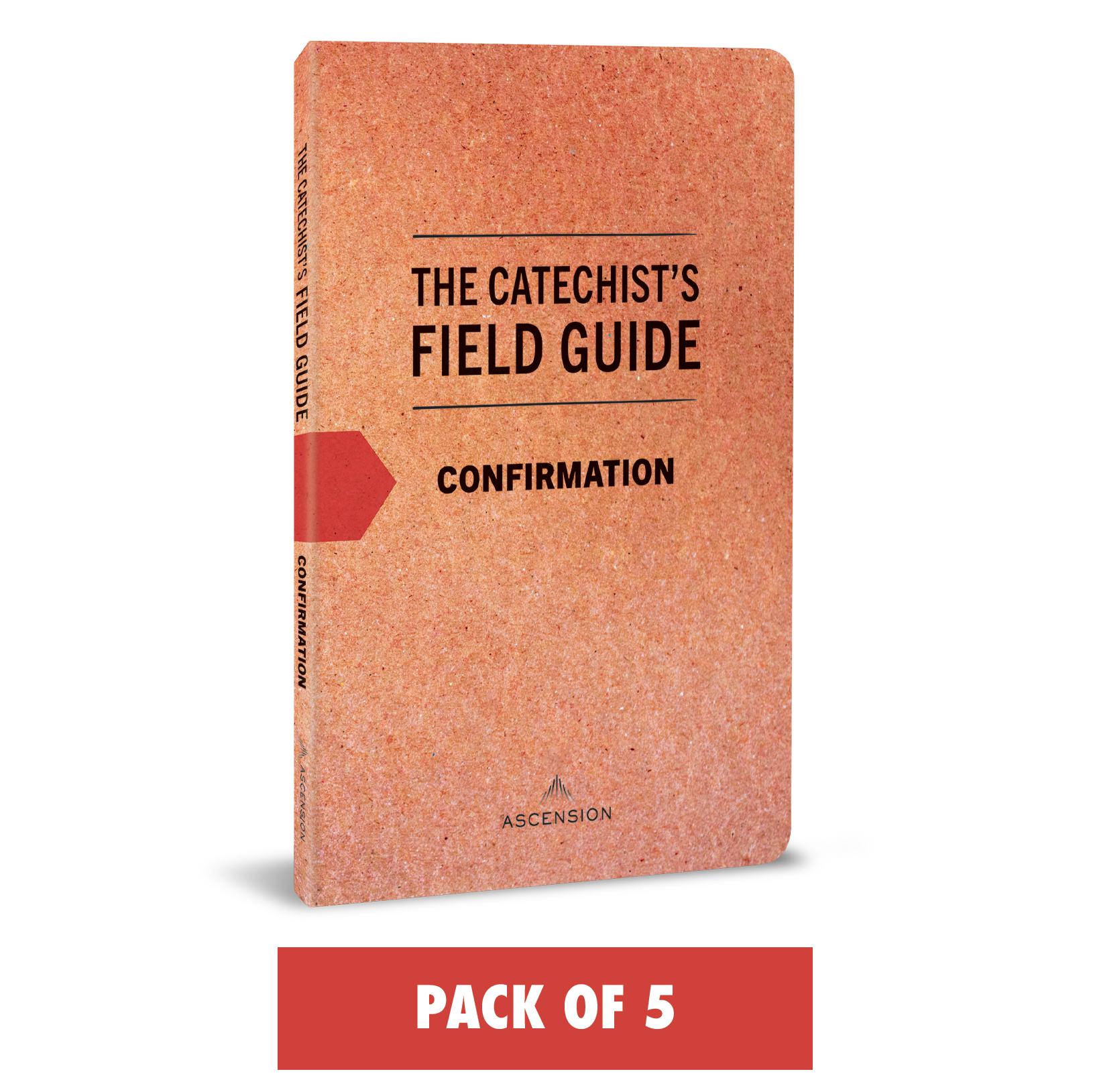 The Catechist's Field Guide to Confirmation (Pack of 5)
