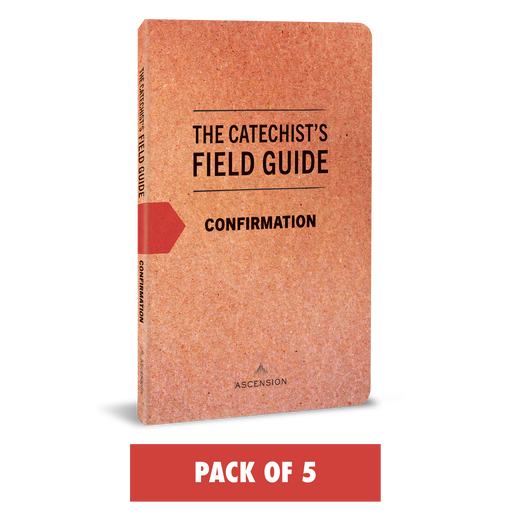 The Catechist's Field Guide to Confirmation (Pack of 5)