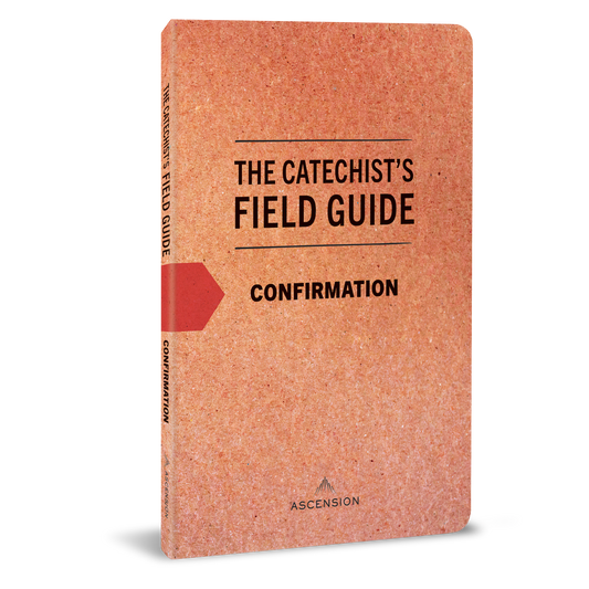 The Catechist's Field Guide to Confirmation