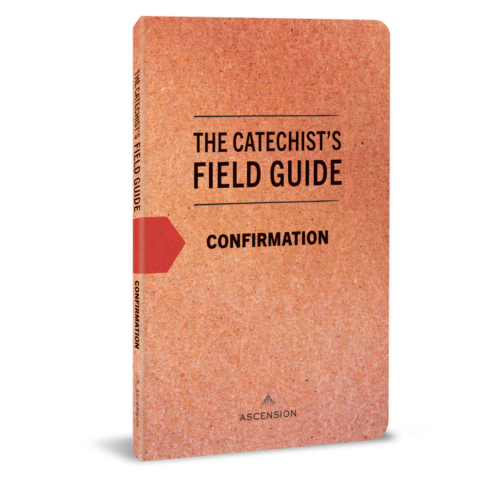 Catechist’s Field Guide to Confirmation feature block v2
