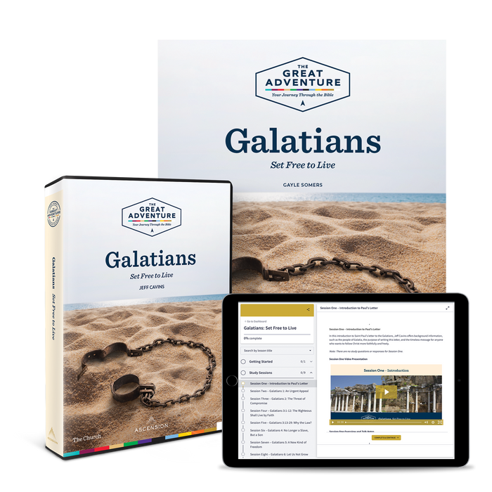Galatians: Set Free to Live, Starter Pack