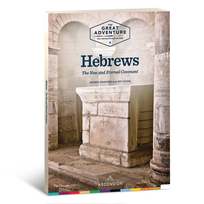 Hebrews: The New and Eternal Covenant Workbook only