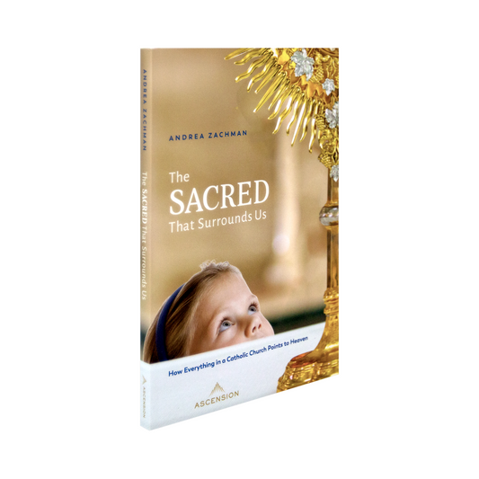 The Sacred That Surrounds Us: How Everything in a Catholic Church Points to Heaven