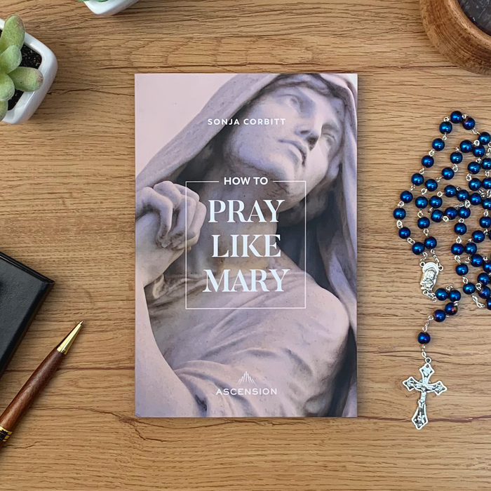 [E-BOOK] How to Pray Like Mary