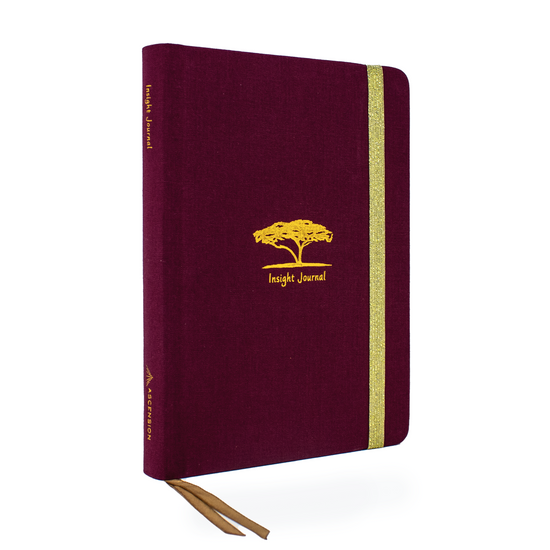 Insight Journal – Ascension