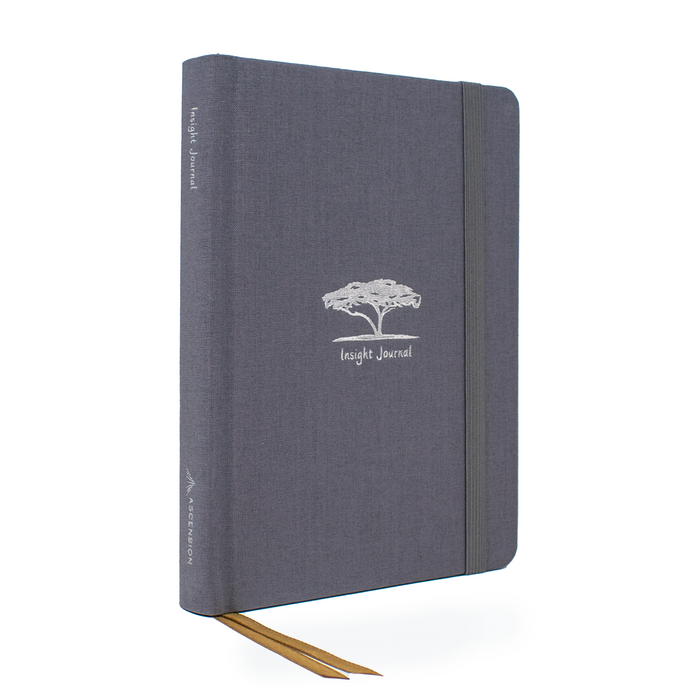 Insight Journal Ascension