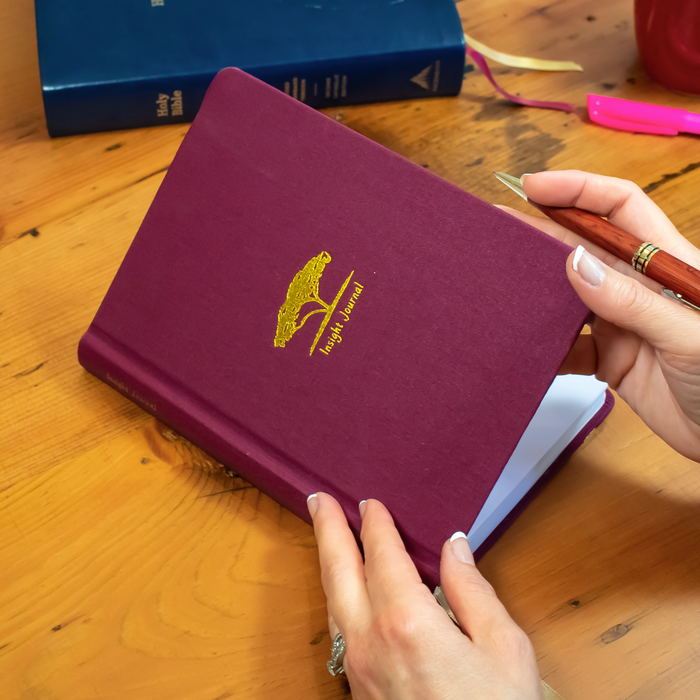 Insight Journal Ascension