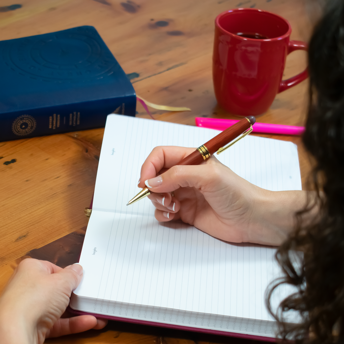 Insight Journal Ascension