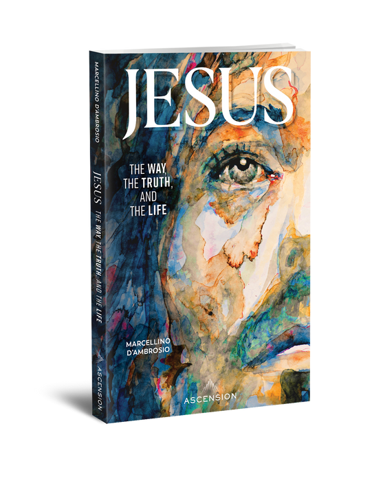 Jesus: The Way, the Truth, and the Life Book