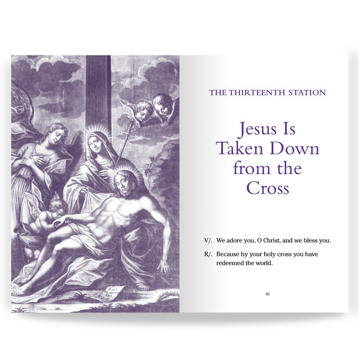 [E-BOOK] Pocket Guide to the Stations of the Cross