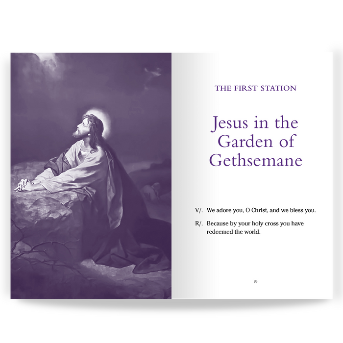 [E-BOOK] Pocket Guide to the Stations of the Cross
