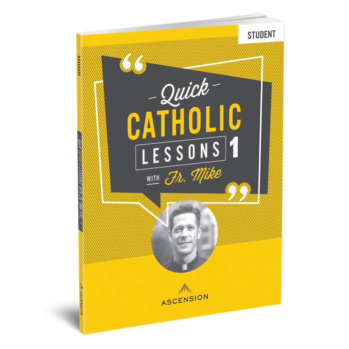 Quick Catholic Lessons with Fr. Mike: Vol. 1, Workbook Only