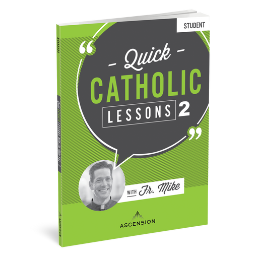 Quick Catholic Lessons with Fr. Mike: Vol. 2, Workbook Only