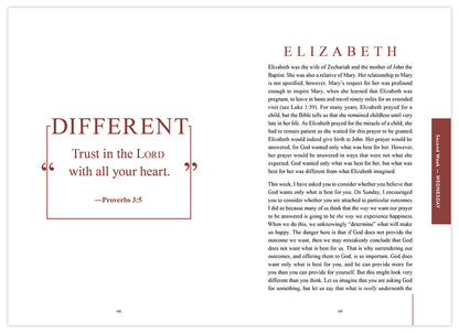 Rejoice! Finding Your Place in the Advent Story, Journal