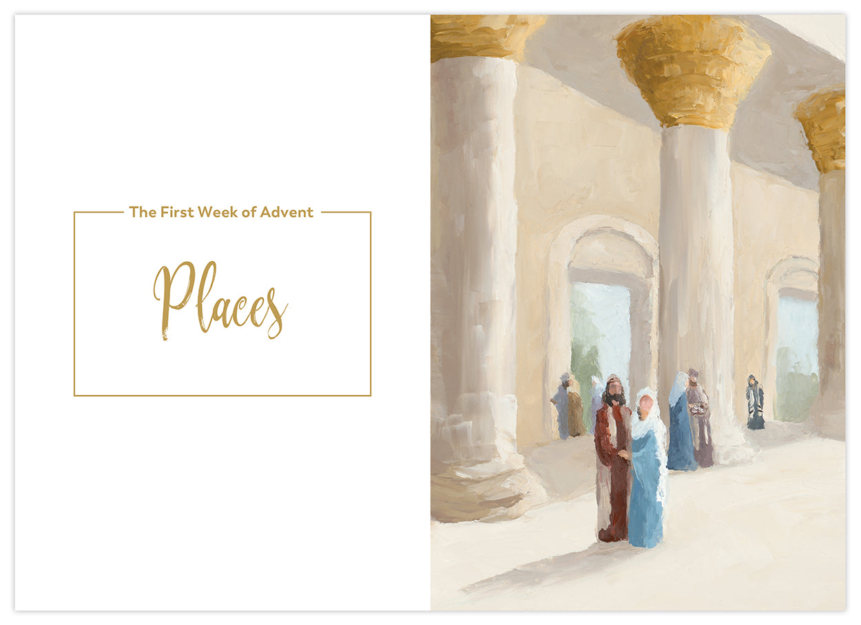 Rejoice! Finding Your Place in the Advent Story, Starter Pack