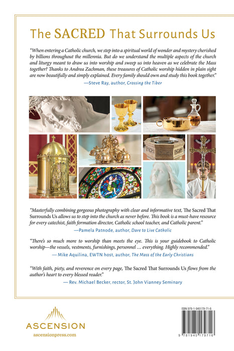 The back cover of the catholic book, The Sacred That Surrounds Us: How Everything in a Catholic Church Points to Heaven by Andrea Zachman and Ascension, featuring reviews and smaller images of Jesus, stained glass windows, an altar server holding a cross, the Eucharist and the most precious blood, and more.