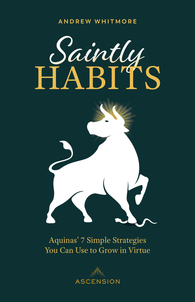 [E-BOOK] Saintly Habits: Aquinas' 7 Simple Strategies You Can Use to Grow in Virtue