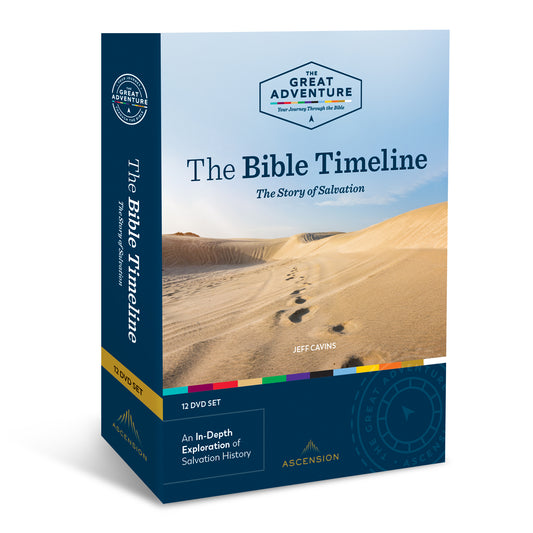 The Bible Timeline: The Story of Salvation, DVD Set