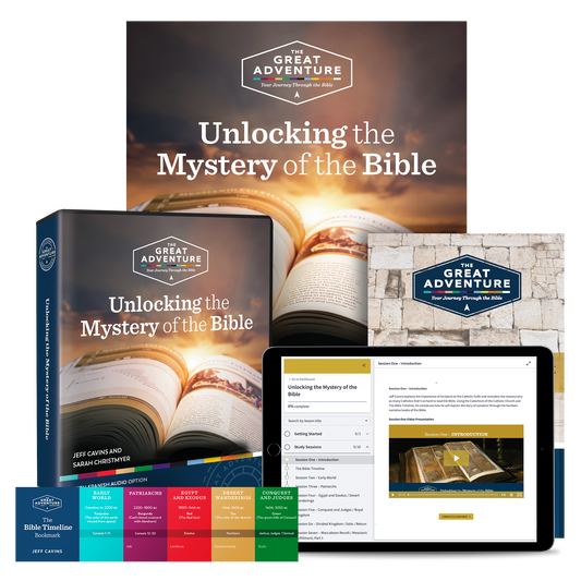 Unlocking the Mystery of the Bible Starter Pack