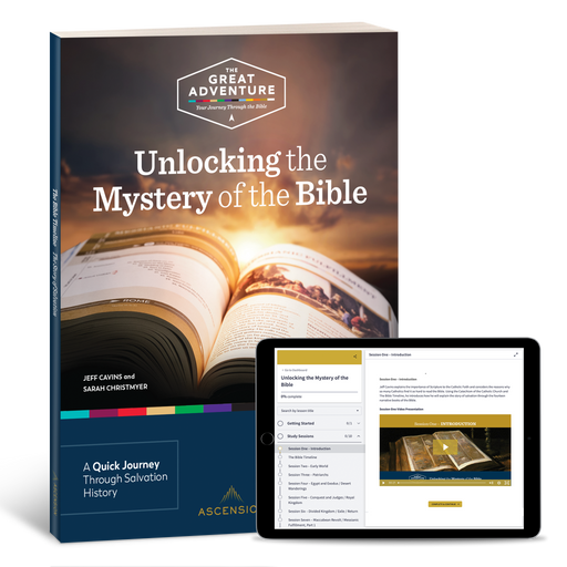 Unlocking the Mystery of the Bible Workbook with Digital Access