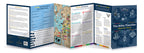 The Bible Timeline Chart for Teens