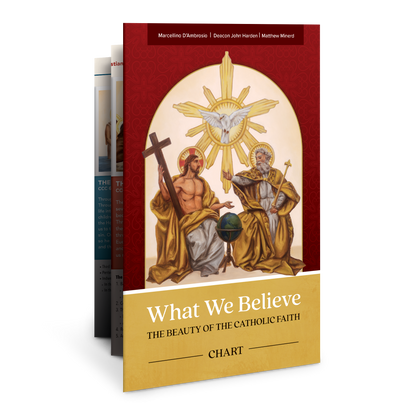 What We Believe, Workbook