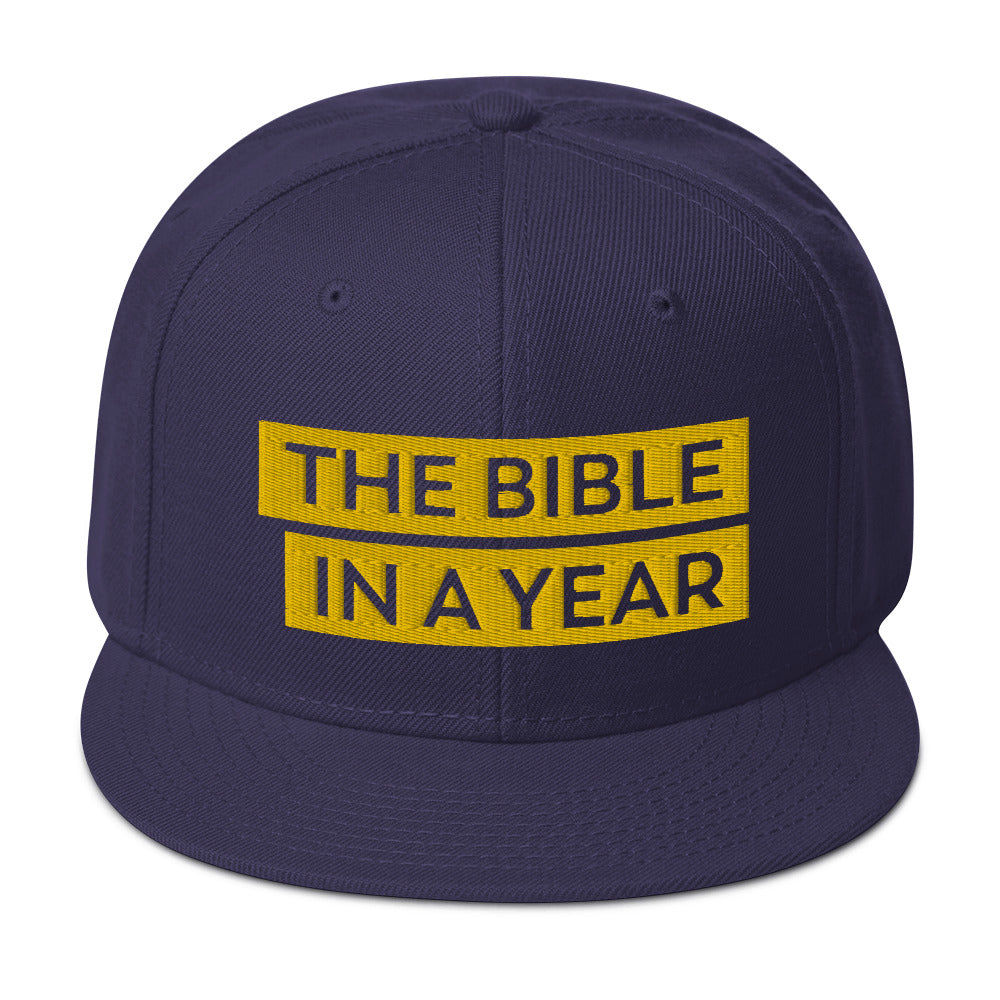 The Bible in a Year Snapback Hat