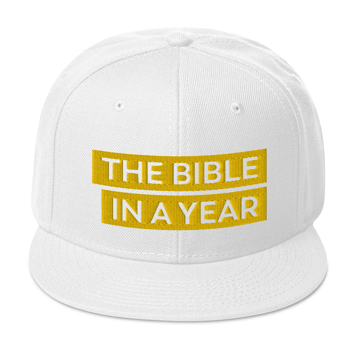 The Bible in a Year Snapback Hat