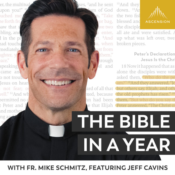 The Bible in a Year