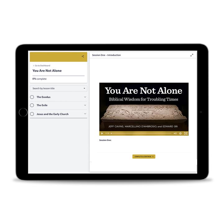 You Are Not Alone: Biblical Wisdom for Troubling Times